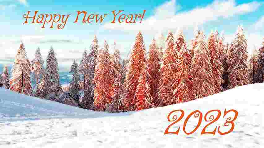 Wish you and your family cheerful new year 2023